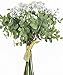 huaao Bouquet Fiori Artificiali e Fiori di fiato di eucalipto, gypsophila, Foglie Faux composizioni Decorazione Fai da Te per Feste di Matrimonio casa Negozio Ufficio Bouquet di Nozze, Bianca