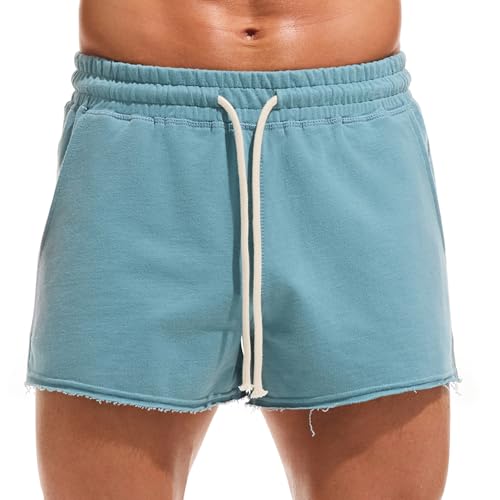 AMY COULEE Mens Workout Shorts 3 inch Cotton Gym Shorts Casual Terry Shorts with Pockets (Mist Blue M)