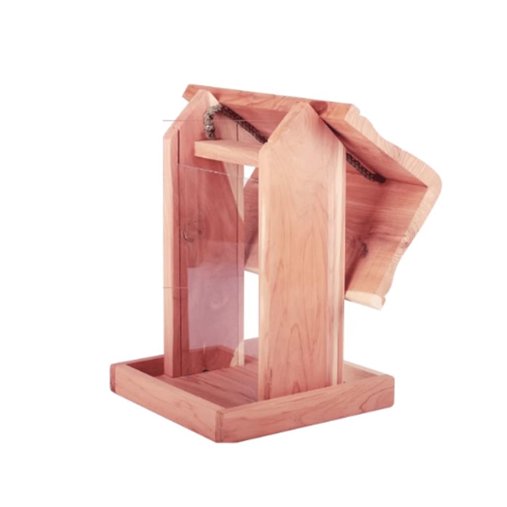 Jaula de Semillas acrílicas Concisa, comedero de Madera para pájaros, comedero para pájaros de Alta Resistencia para Colecciones de jardín, Amantes de Las Aves Comederos para pájaros