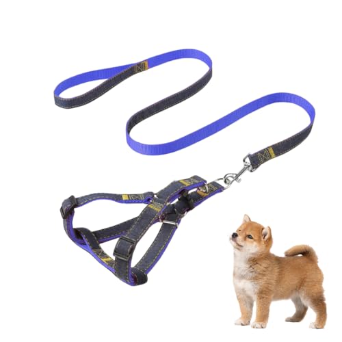 Set di 2 pezzi Y-type pettorina cane taglia piccola per cani, blu pettorina cane per cani, adatto a cani di peso compreso tra 8 e 15 kg (con guinzaglio).
