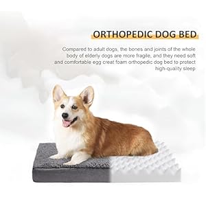   Something-Different-Orthopedic-Dog-Bed-for-Medium-DogMedium-Dog-Bed-with-Removable-Washable-Cover-Anti-Slip-BottomSuitable-for-Dogs-Up-to-35-lbs30x-20x-3Grey