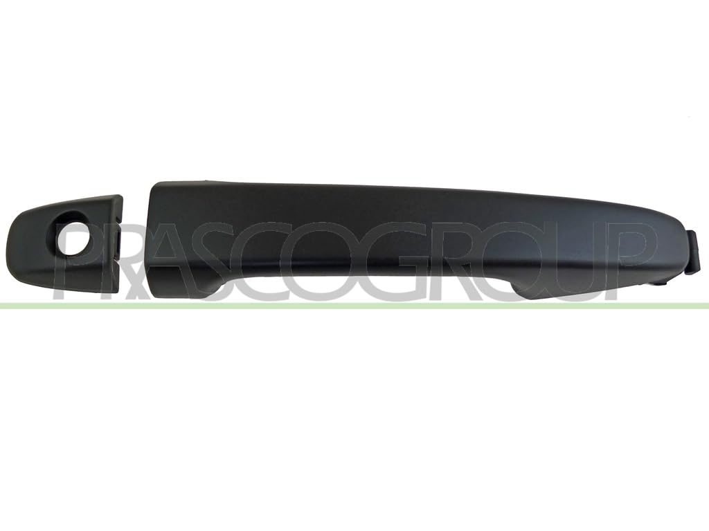 PRASCO Türgriff TY0508004