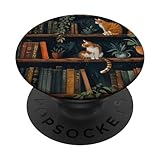 Cute Cats On Bookshelves With Plant And Books Cat
