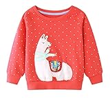 Es adecuado para uso diario, ropa casual, ir a la escuela, deportes, fiestas, bodas, cumpleaños, cenas, sesiones de fotos, Pascua o Navidad.