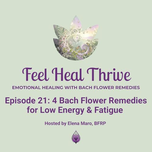 4 Bach Flower Remedies for Low Energy & Fatigue