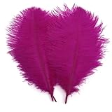 Shekyeon Fuchsia 10-12inch 25-30cm Ostrich Feather Home Decoration DIY Craft Pack of 10