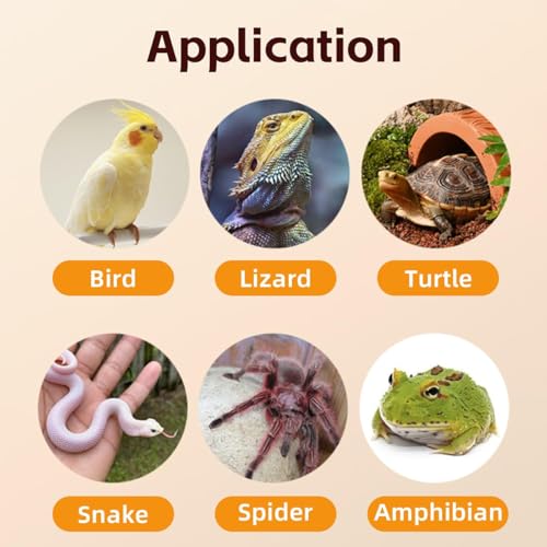 Image of MANON ROSA Bird Thermometer Hygrometer - Mini Digital Magnetic & Adhesive Pet Temperature and Humidity Sensor Gauge for Parrot Cages, Lizard Spider Snake Gecko Reptile Rearing Boxes