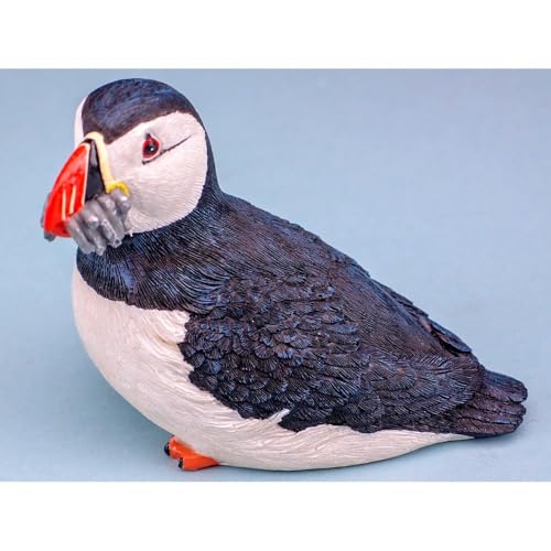 Nauticalia Adorno de frailecillo, no se Puede Colocar