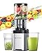 AMZCHEF Entsafter - Slow Juicer mit 135MM Breite und Größere Fütterungsröhre für Ganze Gemüse und Obst - Leicht zu Reinigender Entsafter mit 2 Gläsern - Silber
