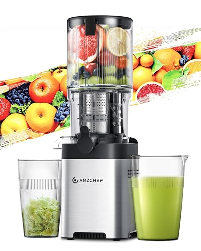 AMZCHEF Entsafter - Slow Juicer mit 135MM Breite und Größere Fütterungsröhre für Ganze Gemüse und Obst - Leicht zu Reinigender Entsafter mit 2 Gläsern - Silber