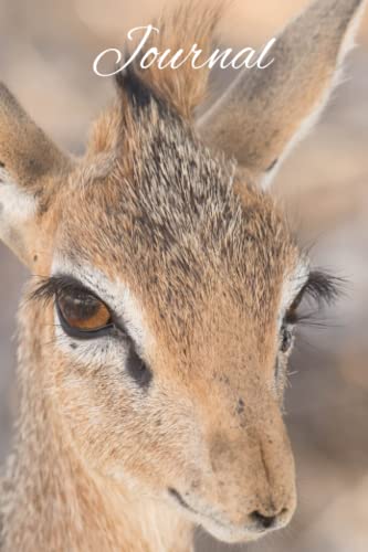 Dik Dik: Notebook