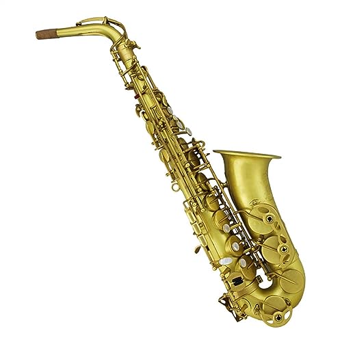 金メッキ サックス ケース付き セルマー SELMER AXOS アクソス 初期 アルトサックス 金メッキ