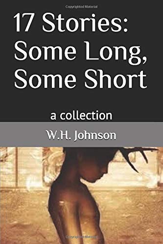 17 Stories: Some Long, Some Short: a collection
