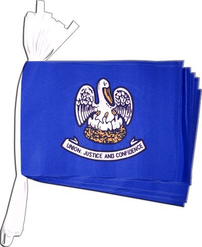 Guirlande drapeau USA Louisiana Digni de haute résistance 5,9 m