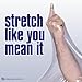 International Plastics Co. 80 Gauge 1200ft Plastic Stretch Film/Wrap 500% Stretch Clear Cling Durable Adhering Packing Moving Packaging Heavy Duty Shrink Film