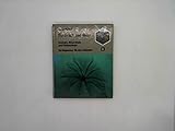 Hunsrück und Nahe: Geologie, Mineralogie und Paläontologie. Ein Wegweiser für den Liebhaber - Volker Kneidl 