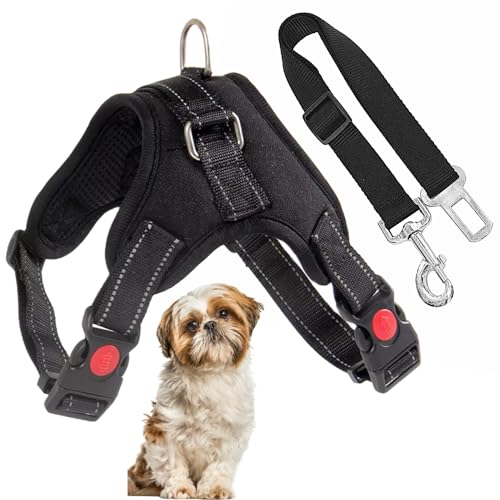 Arnés Ajustable para Perro Pequeño con Correa de Seguridad
