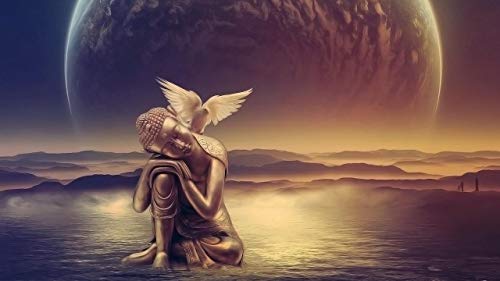 LIZELUO Puzzle 1000 Teile Erwachsene Holzpuzzle Für Sonnenuntergang Feld Freizeit Creative Kreuzworträtsel Spiel Kind Puzzle Spielzeug Geburtstag Festival Einzigartiges Geschenk Cover