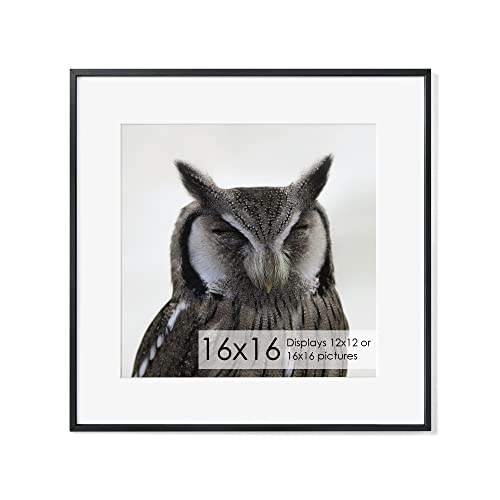 16x16 Metal Picture Frame with 12x12 Mat, Brushed Aluminum Finish, Tempered Glass Front, and Attached Hanging Hardware - Versatile Wall Display Frames for Vertical or Horizontal Orientation(Black,