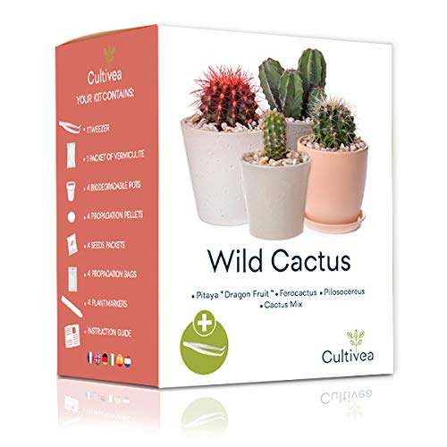 Kaktus-Set – Französische Samen 100% ökologisch – im Garten und zum Dekorieren – Geschenkidee (Pitaya „Drachenfrucht“, Ferocactus, Pilosocereus und Cactus Mix) - CULTIVEA® - Wild Cactus