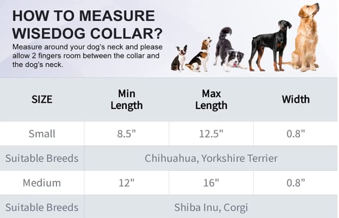 Cosyhome Adjustable Dog Collar with Airtag Holder: Durable Dog Collars, Soft Rubber Coated Webbing - Image 3