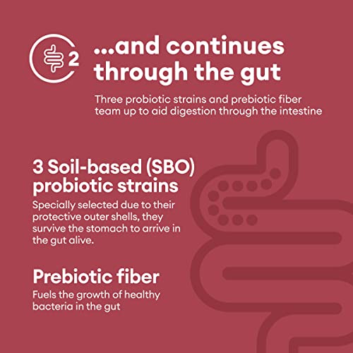 Physician's Choice Digestive Enzymes - Multi Enzymes, Organic Prebiotics & Probiotics For Digestive Health & Gut Health - For Meal Time Discomfort Relief - Dual Action Approach W/Bromelain - 60 Ct #TOP4