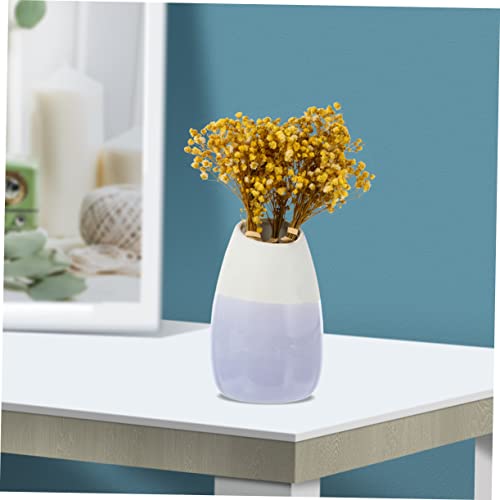 5pcs ramo de flores secas Gypsophila para decoración miniatura 7