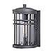 VAXCEL Wrightwood 1 Light Dusk to Dawn Black Outdoor Wall Lantern Clear Glass