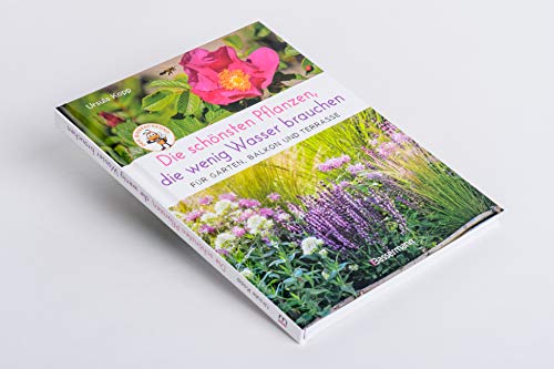 Die schönsten Pflanzen, die wenig Wasser brauchen für Garten, Balkon und Terrasse - 66 trockenheitsverträgliche Stauden, Sträucher, Gräser und Blumen, die heiße Sommer garantiert überleben - 6