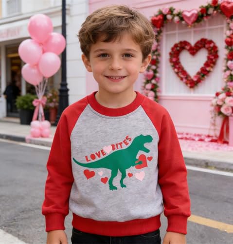 Image of Popshion Toddler Boys Sweatshirts Dinosaur Long Sleeve Pullover Crewneck Shirts Cartoon Tee Sport Tops for Kids 1-8T