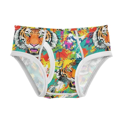 Face Tiger Animal Toddler Boy's Underwear 2T 202c1605
