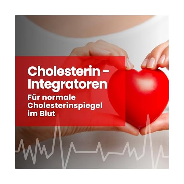 CHOLESTERIN - Nahrungsergänzungsmittel - Roter Reis, Caigua, γ-Oryzanol, Policosanol, Coenzym Q10 und Chrom - 90 Tabletten - Qualität Vitastrong – Bild 4