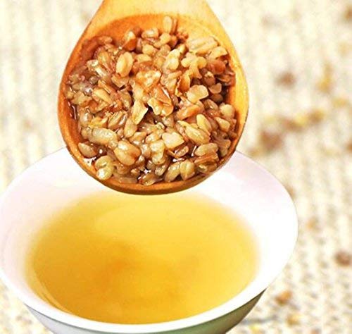 Sichuan Specialty: Tartary Buckwheat Tea 250G/8.8Oz #TOP3