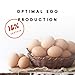 Manna Pro Chicken Feed, 16% Protein Layer Crumbles with Probiotics for Digestive Health, Complete Feed for Laying Hens to Support Egg Production, Nutrient-Rich Chicken Food, Made in USA, 8 lb Bag