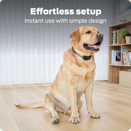 Conseils d’utilisation du collier anti-aboiement Premier Pet