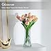 Glasseam Glass Vase for Home Decor: Clear Flower Vases for Living Room Kitchen Bathroom Wedding Table Centerpieces - 7.5
