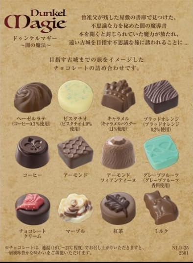 Amazon.co.jp: ナハトラビュリント ドゥンケルマギー（闇の魔法） 洋書