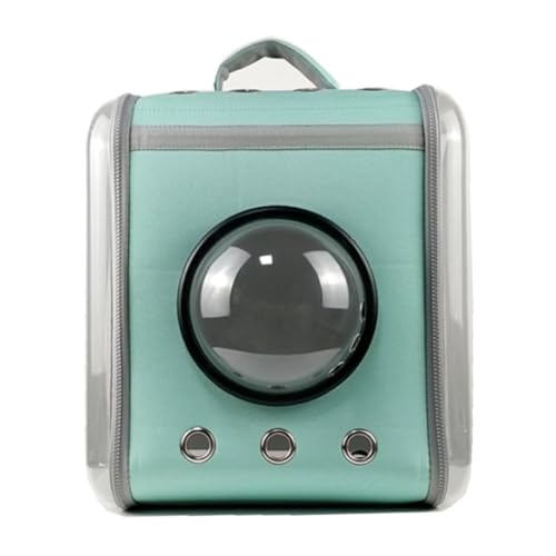 GIUPLFDTGybg obO ybg bN  L bN [obO FD JvZ^ ybgobO s/ʉ@/ЊQɍœK (O[)