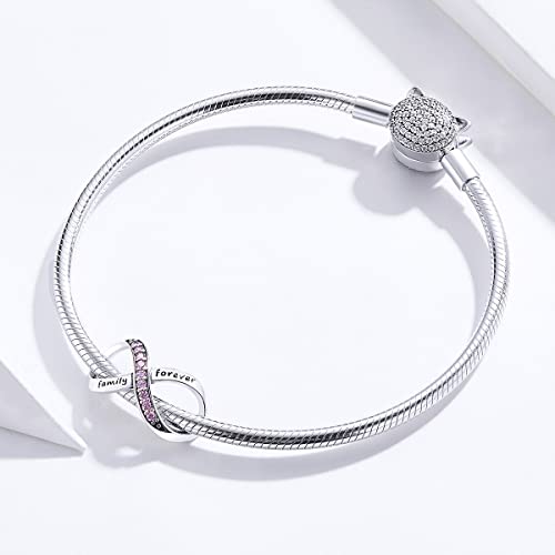 RUKYF 925 Sterling Silver Infinity Charms for Bracelets Necklaces Family Forever Pink Cubic Zirconia Charm Jewelry Gifts for Women - Thumbnail 3