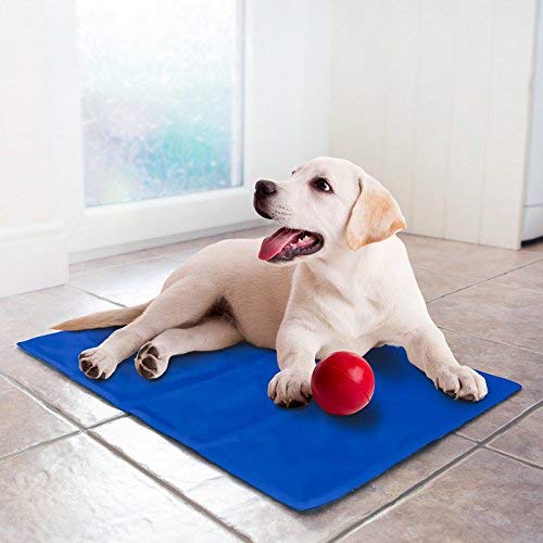 PETLICIOUS & MORE (Size - Medium, 50 Cm X 65 Cm Pet Dog Cat Cooling Gel Mat Bed Summer Heat Relief Non Toxic Cushion Pad (Pack of One, Medium)