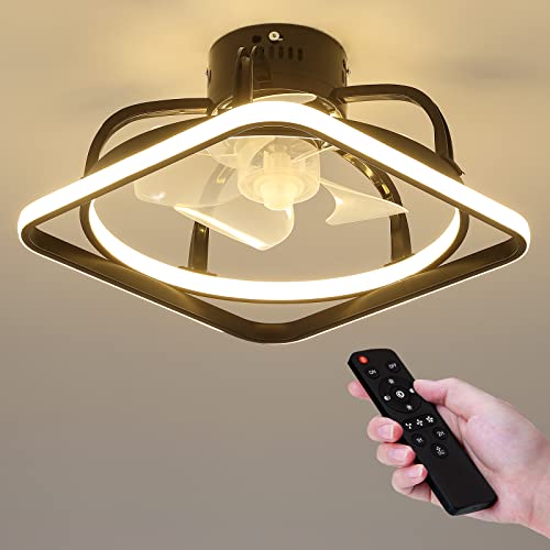 Dannilong Small Ceilling Fan with Lights, 15
