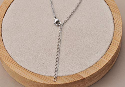 Aoloshow Stainless Steel Silver Heart Jasmine Name Plate Necklace Jewelry Birthday Gifts For Girls #TOP5