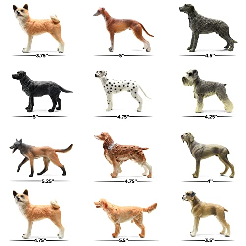 stargo Friendly Dog Figurines for Kids and Toddlers - Plastic Dogs Set of 12 Realistic Play Figures - Non-Toxic Cake Topper, Farm Animal Figurines, 3.5"x5", Age 3+