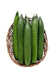 BAMELO® Frische Stückgurken, 800g