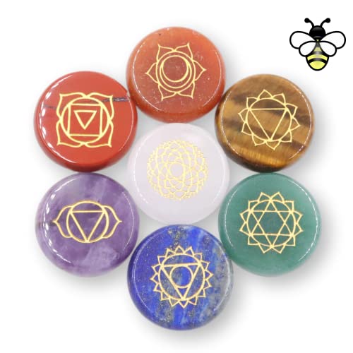 NatureWonders All Natural Chakra Stone Set (Circle) with Information Brochure & Travel Pouch - Healing Crystals, Polished Palm Stone, Meditation, Reiki, Energy