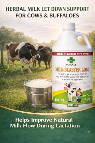 Image of Milk Blaster LDM Cattle Feed Supplement, Nutritional Mineral Mix and Additive for Dairy Livestock and Large Animals for Use in Daily Feed Rations | 1000 ml