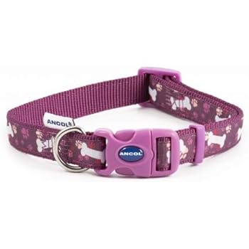ancol puppy collar