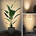 SUNVIE 2 Pack Uplighting Indoor Floor Can Light Spotlight, Up Lights Indoor Floor Spotlight with 2700K GU10 Bulbs, 5W Spot Lights for Plant Picture, 5.9 FT Plug Cord & Foot Switch