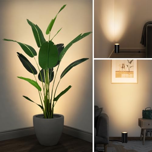 Image of SUNVIE 5W Up Lights Indoor 2700K Floor Can Light for Plant Corner, 2 PCS