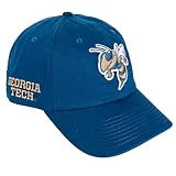 Desert Cactus Georgia Tech University Baseball Hat Yellow Jackets GT Institute of Technology Brimmed Embroidered Hats Cap Adjustable Cloth Strap Adult (Style D1)